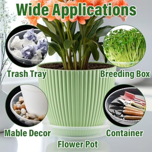 RooTrimmer 10 Pack 10 Inch Clear Plant Saucers for Plant Pots,Thick Heavy Duty Plastic Plant Trays,Transparent Drip Trays for Indoor & Outdoor Plants - Image 6