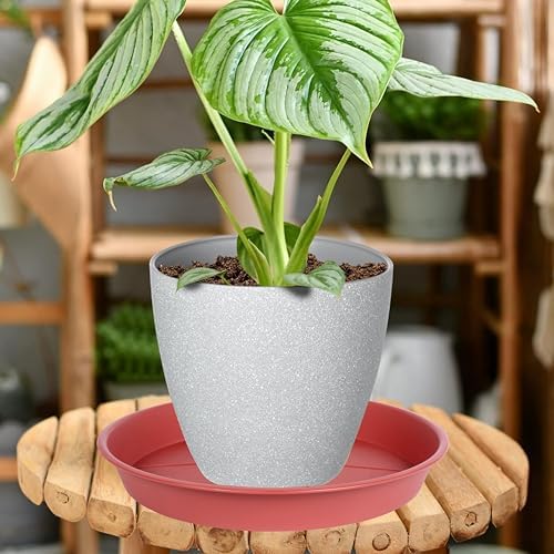 OVZILKI 6 Pack of Plant Saucer Tray 4 6 8 10 12 14 17 19 22 25 inch, Heavy Duty Plastic Pot Plant Drip Trays Saucers for Indoors Outdoor, Plant Water Tray for Planters 4-7" (6", Clay) - Image 3