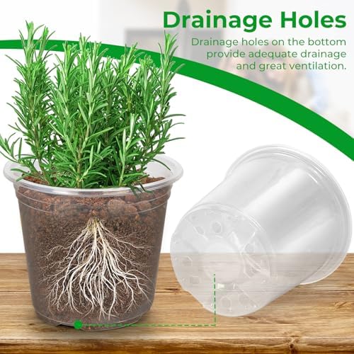 FUIJOL 50 Pack 3/4/5/6/7 Inch Clear Nursery Pots with Drainage Holes - Image 3