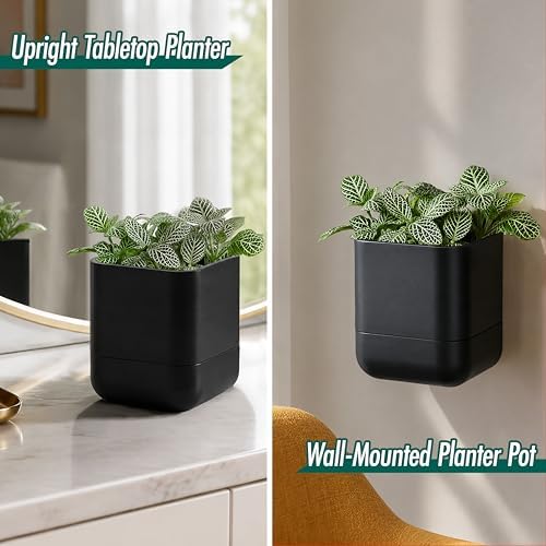 Phoenix Vine 4.5 Inch Wall Mounted Self-Watering Planter Pot for Indoor Houseplants and Herbs | Hanging Planter for Window Sills, Bathroom Walls, Home & Office Décor, Black, Set of 3, 01-B-E-3 - Image 4