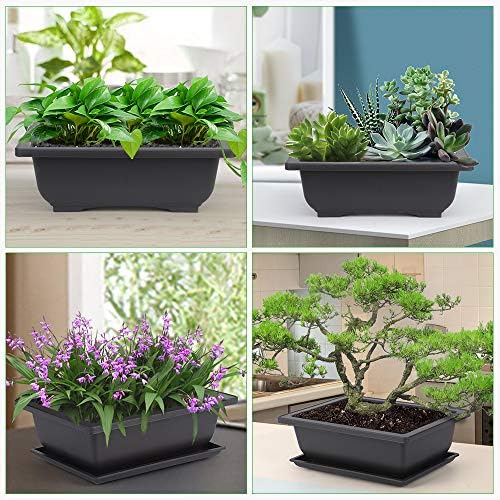 GROWNEER Bonsai Training Pots 3 Packs 9Inch with Drainage Humidity Trays, Bonsai Tree Starter Kits with 1 Repotting Mat, Growing Planter Set for Garden, Yard, Balcony, Office, Living Room - Image 6