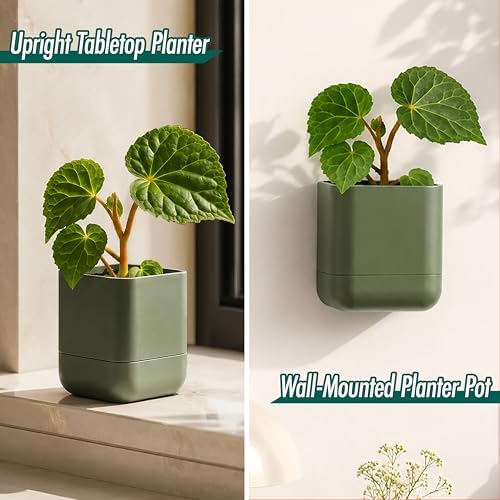 Phoenix Vine 3.5 Inch Wall Mounted Self-Watering Planter Pot for Indoor Houseplants and Herbs | Hanging Planter for Window Sills, Bathroom Walls, Home & Office Décor, Olive, Set of 3, 01-A-F-3 - Image 4