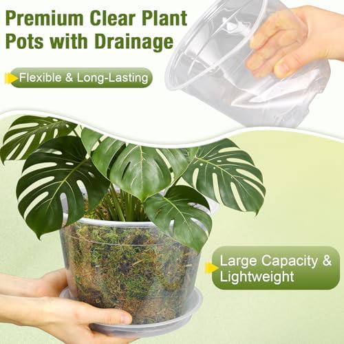 12/10/8/6/4 Inch Clear Nursery Pots with Drainage and Saucers, 20 Pack Large Clear Plastic Nursery Pots for Plants, Seedling Plant Pots for Repotting and Growing Plants, Flowers & Vegetables - Image 4