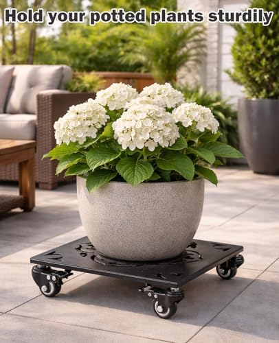 1 Pack Large Square Metal Plant Caddy with Wheels 12 Inches Heavy-duty Rolling Plant Stands with Casters Wheeled Flower Pot Mover Rollers Rust-proof Iron Planter Dolly Coasters Indoor Outdoor Use - Image 7