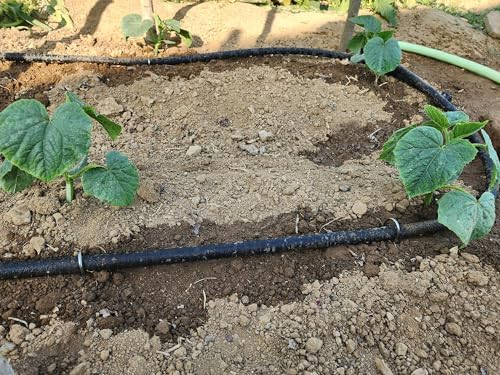 Atlantic Short Soaker Hose 10 FT x1/2" Garden Soaker Hose, Water Seeper Hoses for Foundation Watering, Garden Beds, Garden, Lawn and Plants - Image 5