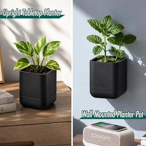 Phoenix Vine 3.5 Inch Wall Mounted Self-Watering Planter Pot for Indoor Houseplants and Herbs | Hanging Planter for Window Sills, Bathroom Walls, Home & Office Décor, Black, Set of 2, 01-A-E-2 - Image 4