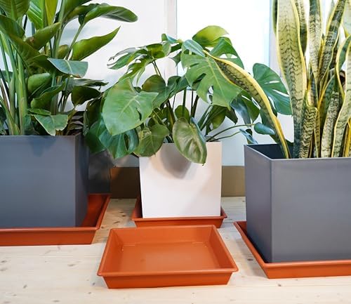 NIMYAU Square Plant Saucer 8 Inch 5 Pack, Plant Stand Plant Trays for Pots Heavy Duty Plastic Plant Saucers for Indoors Outdoors, Flower Pot No Holes Terracotta Plant Lover Gardening Gifts - Image 3