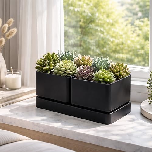 D'vine Dev Herb Garden Planter Set with Saucer, Black, 76-Q-B-1 - Image 6