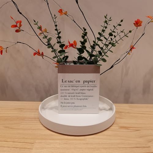 Plant Pot Saucer - 10 Inch Plant Saucer for Indoors and Outdoor Ceramic Plant Tray for Indoors Large Plant Drip Trays Round Flower Pot Saucer Plant Dishes to Catch Water,Frosted White - Image 5