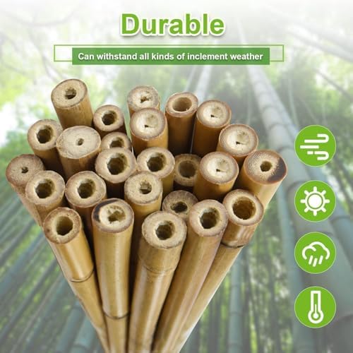 Jollybower 3/10" D 2 Feet Bamboo Stakes 50 Pack, Thicker Heavy-Duty Plant Stakes, Natural Garden Stakes for Bean, Tomato, Bean, Flowers,Trees Potted and Climbing Plant Support - Image 4
