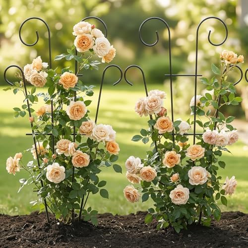 Thealyn 4 Pack 23 Inch Plant Trellis for Potted Plants - Image 4