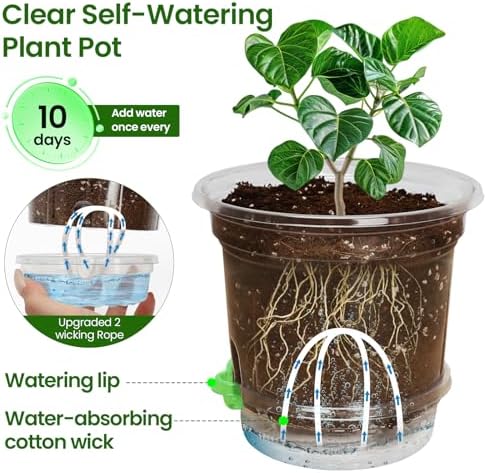 MIXC 12 Pack 6.5 Inch Self Watering Pots for Indoor Plants-Clear Plastic - Image 2