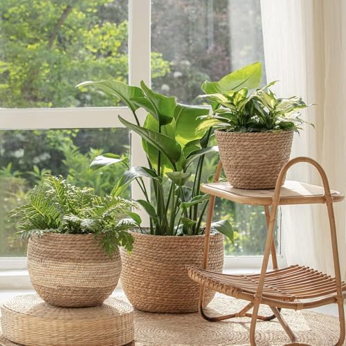 LA JOLIE MUSE Seagrass Basket Planters for Indoor Plants, Flower Pot 3 Pack - Image 2