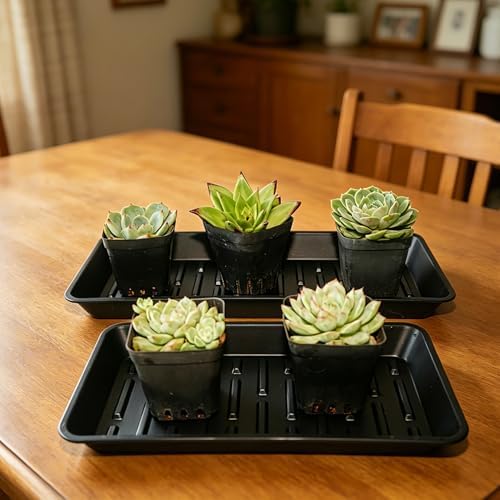 2 Pack Rectangular Plant Saucer 16 Inch, Heavy Duty Plastic Drip Trays for Pots, Windowsill Planter, Indoor Outdoor, 7.0 x 16.1 Inches, Black - Image 4