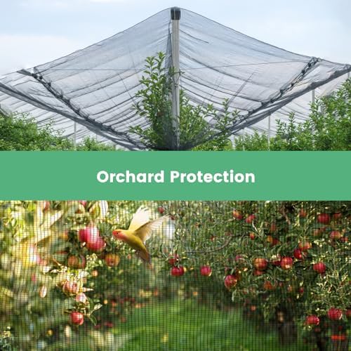 10 x 10 FT Protection Garden Netting - Image 4