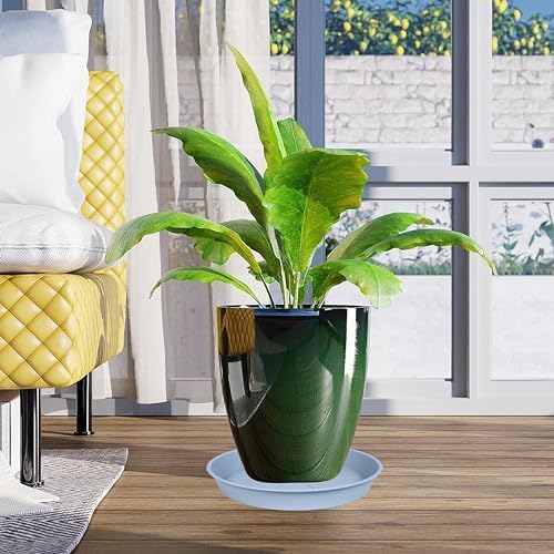OVZILKI 6 Pack of Plant Saucer Tray 7 8 inch, Heavy Duty Plastic Pot Plant Drip Trays Saucers for for Indoors Outdoor, Plant Water Tray for Planters 7-9" (8", Light Gray) - Image 6
