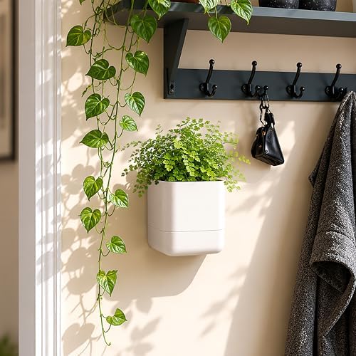 Phoenix Vine 4.5 Inch Wall Mounted Self-Watering Planter Pot for Indoor Houseplants and Herbs | Hanging Planter for Window Sills, Bathroom Walls, Home & Office Décor, Oatmeal, Set of 1, 01-B-G-1 - Image 2