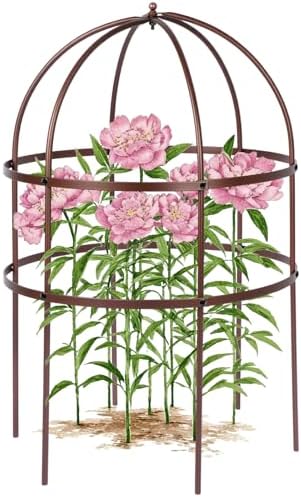 1 Pcs Jardin Bird Cage Plant Support 24" H Large Sturdy Grow-Through Flower Support Peony Cage Climbing Plant Support Trellis Sculptural Garden Decor for Perennial Flowers (Vintage Gold) by Heytimi