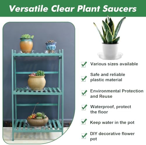 30 Pack Clear Plant Saucers for Indoors (10, 12, 14 inch) Flower Pot Saucers for Potted Plants Plant Plate Set Plant Trays for Indoors No Holes Plant Trays for Pots Bulk - Image 6
