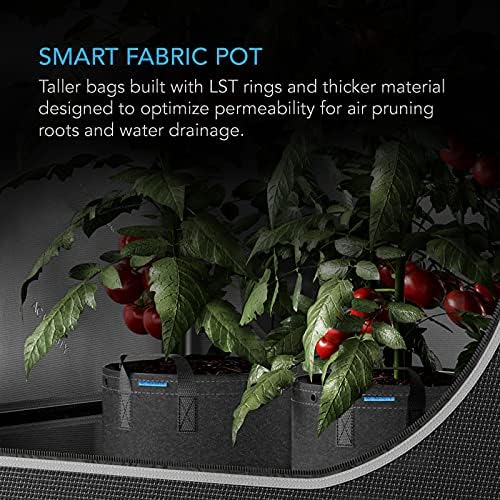 AC Infinity Heavy-Duty 500G Fabric Pots, 3 Gallon Grow Bags 5-Pack - Image 2