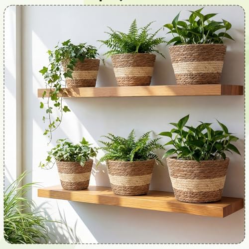 AceOrbit 12 Pcs Wicker Plant Basket Bulk with Liners Woven Planter Baskets Bulk for Indoor Outdoor Seagrass Plants Woven Wicker Baskets for Flower Pots Cover and Room Decor (Mixed Size,Bohemian) - Image 2