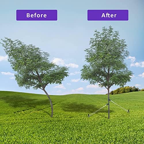 Heavy Duty Steel Tree Support Kit, Tree Stake Kit for Newly Planted Trees Against Bad Weather, Include 6 PCS Tree Straps for Staking, 6 PCS Tree Stakes and 2 PCS Rope of 31.2 FT for Anchoring (2) - Image 3