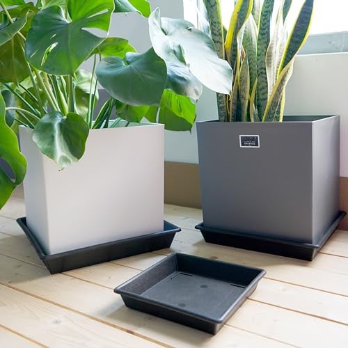 NIMYAU Square Plant Saucer 6 Inch 5 Pack6 8 12 14 16 18 20 Heavy Duty Plastic Plant Saucers for Indoors Outdoors, Plant Trays for Pots, Flower Pot No Holes Plant Drip Trays - Image 6