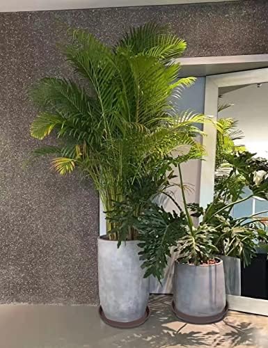 4 Pack of 14 inch Plant Saucers Bird Bath Bow Round, Plastic Plant Saucer Tray for Pots, White Planters for Indoor Plants, Plant Trays for Planter 12-15" (14", Dark Brown) - Image 4