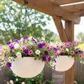 LaLaGreen Hanging Pots for Indoor (11in, 2 Pack) Self-Watering Plant Holder by L%C3%A1L%C3%A1Green