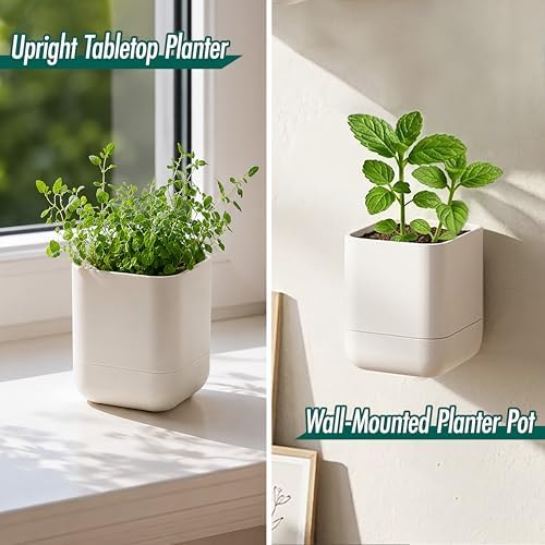 Phoenix Vine 3.5 Inch Wall Mounted Self-Watering Planter Pot for Indoor Houseplants and Herbs | Hanging Planter for Window Sills, Bathroom Walls, Home & Office Décor, Oatmeal, Set of 4, 01-A-G-4 - Image 4