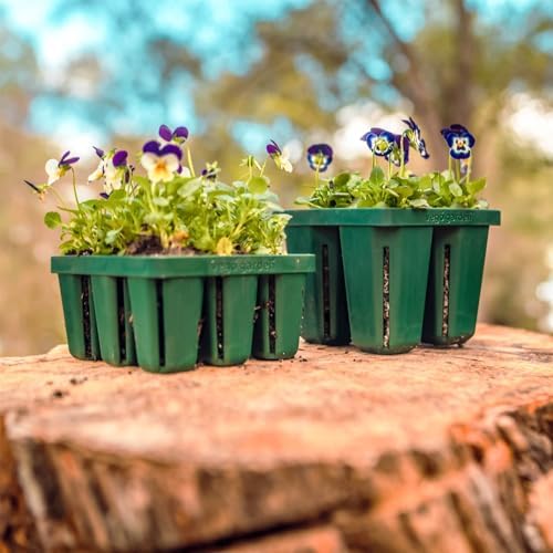Vego garden Seedling Suite Products, 4 Pack Jumbo Seedling Trays with Seedling Tray Lids and 10" x 10" Bottom Watering Trays - Image 4