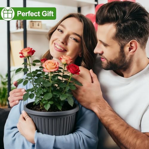 12-inch-Planters-for-Outdoor-Plant，Plastic Indoor Flower Pots with Drainage Holes & Saucer, 4 Packs Decorative Garden Pots for Plantfor Home Porch Decor - Image 7