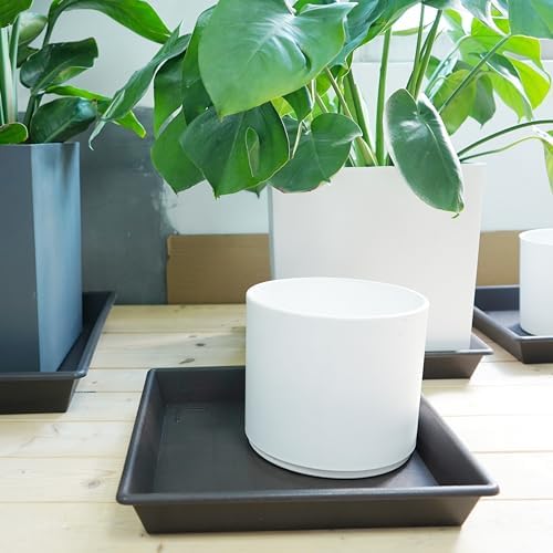 NIMYAU Square Plant Saucer 10 Inch 5 Pack, Plant Stand Flower Pot No Holes, Plant Trays for Pots Heavy Duty Plastic Plant Saucers for Indoors Outdoors Plant Lover Gardening Gifts - Image 7