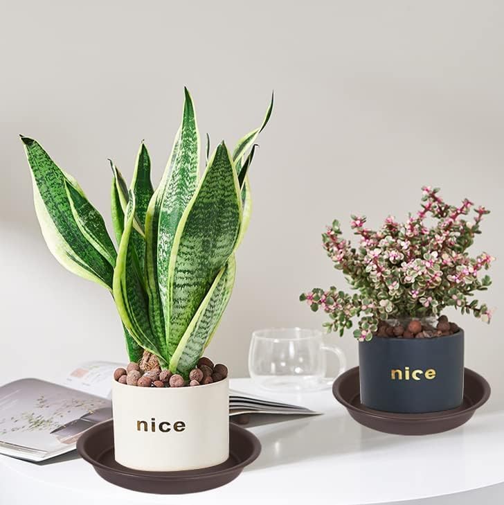 6 Pack Plant Saucer Drainage Tray, Plastic Plant Water Tray, 6 inch Flower Saucers for Indoors, Plant Dishes for Pots Base (6 inch, Dark Brown) - Image 4