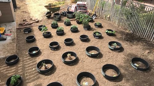 3-Pack 16-inch Planting Rings – Robust, Watering Basin & Garden Edging - Image 5