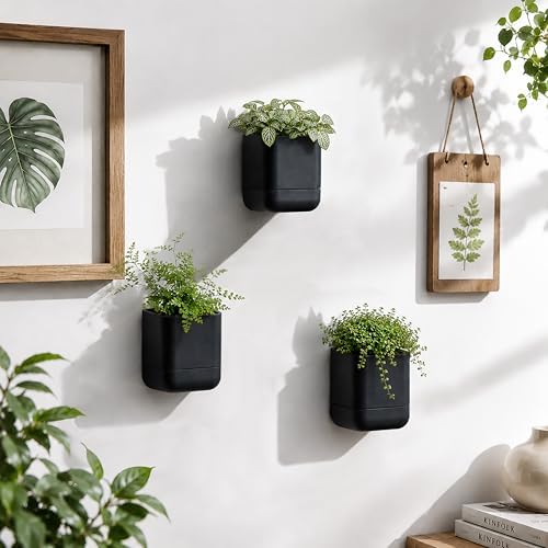 Phoenix Vine 3.5 Inch Wall Mounted Self-Watering Planter Pot for Indoor Houseplants and Herbs | Hanging Planter for Window Sills, Bathroom Walls, Home & Office Décor, Black, Set of 3, 01-A-E-3 - Image 2