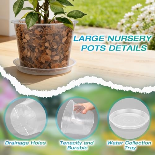 10 Inch Clear Nursery Pots with Drainage and Sacuers, 4 Pack Plastic Pots for Plants Indoor Outdoor, Large Clear Pots for Flowers, Succulents (10inx4pcs) - Image 3