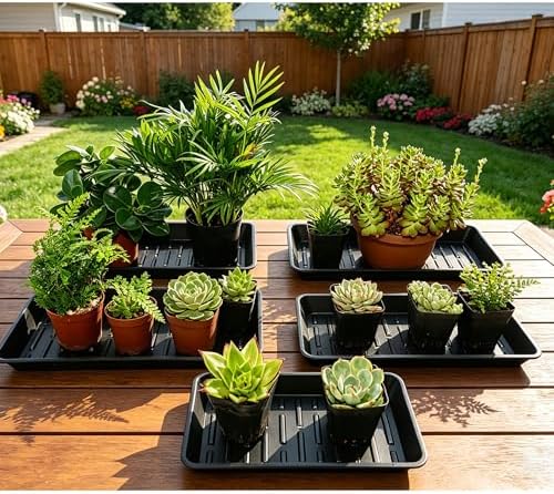 6 Pack Plastic Plant Trays Rectangular 14 Inch, Indoor Outdoor Plant Saucers with Drip Protection, Windowsill Planter Tray, 7 x 14.5 Inches, Black - Image 7