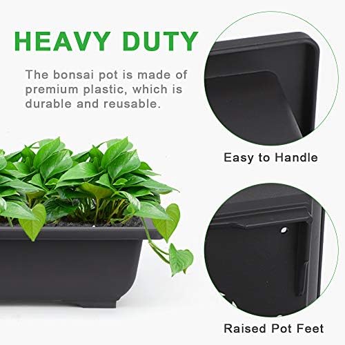 GROWNEER Bonsai Training Pots 3 Packs 9Inch with Drainage Humidity Trays, Bonsai Tree Starter Kits with 1 Repotting Mat, Growing Planter Set for Garden, Yard, Balcony, Office, Living Room - Image 4
