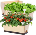 Oliz Window Box Planter 8 Pcs, 17 Inches Rectangle Flower Pots with Drainage Holes & Trays, Vegetable Planters for Windowsill Patio Garden Balcony Home Indoor Outdoor (Barley Yellow, 16 * 7 * 6 inch) by Oliz