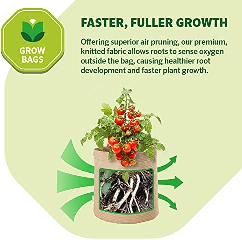 Coolaroo 2-Pack 10 Gallon Heavy Duty Plant Tomato Potato and Other Vegetables and Fruits Breathable Fabric Grow Planter Pot Bag with Handles, Desert Sand - Image 3