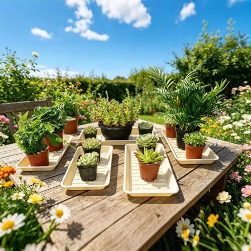 2 Pack Plastic Plant Tray Saucer Rectangular 24 Inch, Plant Trays Saucers for Indoor Outdoor, Water Drip Tray for Flower Pot Planter, Windowsill, 8 x 24 Inches, Beige - Image 3