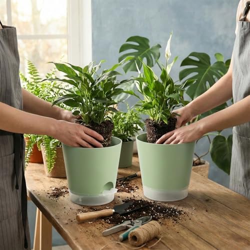 GARDIFE 2026 Upgraded Self Watering Plant Pots with Drainage Hole, 8/7/6.5/6/5.5/5/4 Inch Flower Planting Containers for House Plants, African Violet, Flowers, Cactus (Green, 8+7+6.5+6+5.5+5+4 inch) - Image 5