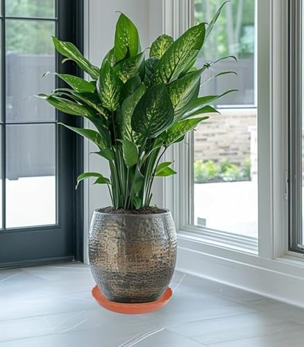 6 Pack Plant Saucer 6 inch, Heavy Duty Plastic Plant Saucers, Durable Plant Tray for Pots, Flower Saucers for Indoors, Plant Pot Saucers, Trays for Planter (Terracotta) - Image 4