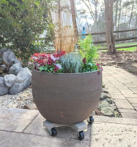 Bosmere 14" Plant Caddie - Heavy-Duty Rolling Plant Stand with Locking Wheels, 500 lb Capacity – Durable Plant Caddy for Indoor/Outdoor Use, Light Gray - Image 2