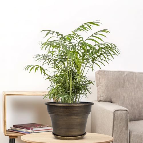 Fodetyff Planters-Plant-Pots-Indoor-Outdoor, 10 inch 4 Pack Gold - Image 2