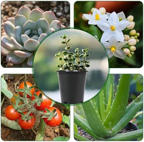 HOSTIC 7 Gallon pots for Plants 7 Gallon Flexible Nursery Pots Gallon Pot with Drainage Holes Plastic Plant Large Container Suitable for Indoor Outdoor Vegetables Flowers Plants 10 PCS - Image 7