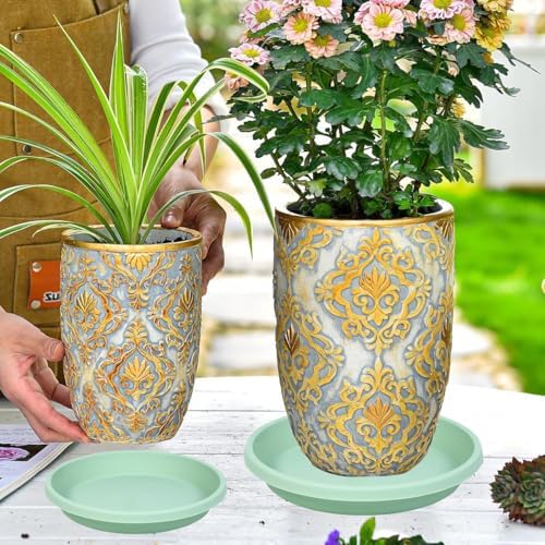 NIMYAU Plastic Plant Saucers 10 Inch Round Pack of 2 Thick Reusable Drip Trays for Indoor Outdoor Plants - Image 7
