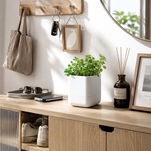 Phoenix Vine 4.5 Inch Wall Mounted Self-Watering Planter Pot for Indoor Houseplants and Herbs | Hanging Planter for Window Sills, Bathroom Walls, Home & Office Décor, White, Set of 1, 01-B-D-1 - Image 6