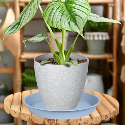 OVZILKI 6 Pack of Plant Saucer Tray 7 8 inch, Heavy Duty Plastic Pot Plant Drip Trays Saucers for for Indoors Outdoor, Plant Water Tray for Planters 7-9" (8", Light Gray) - Image 3